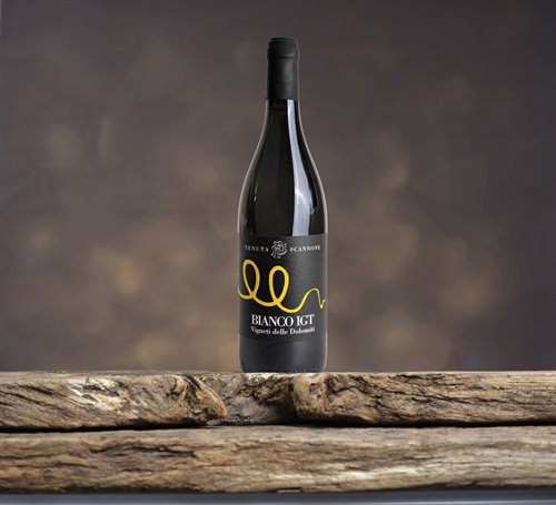 brioleum bianco vino (1).jpg